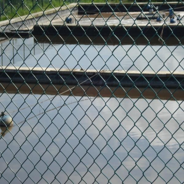 latest company news about Mesh Security Chain Link Fence  0