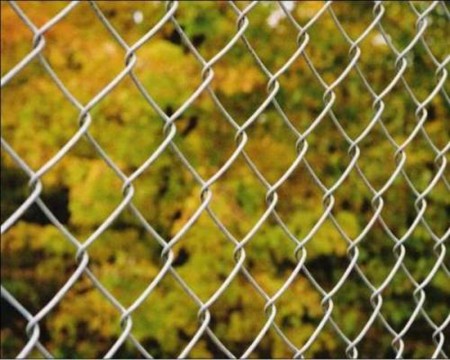 latest company news about Mesh Security Chain Link Fence  1