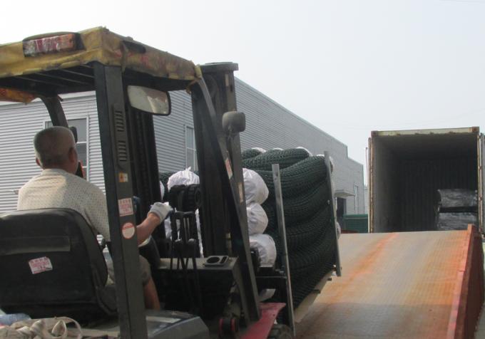 Hot Dipped Galvanized Low Carbon Steel Wire Chain Link Fence for Farm Field 18