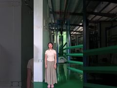 Flatten Top Powder Coating Tubular Metal Fence