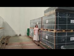 Anti Climb Security Fencing packing