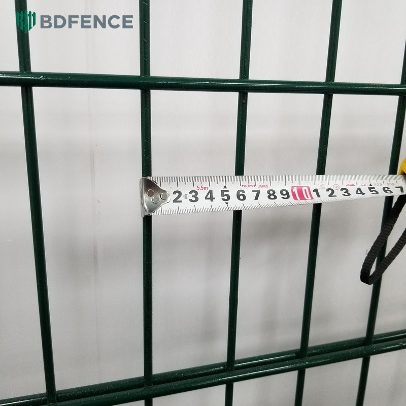Germany Style 8/6/8 Double Wire Mesh Fencing Rodent Proof