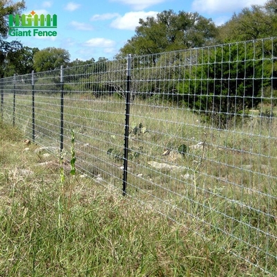 Hot Dip Galvanized Steel Studded T Post 6ft Metal For Animal Fence