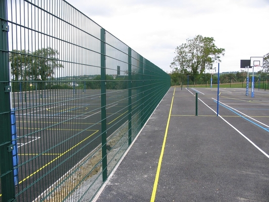 6.0mm 55x200mm Double Wire Mesh Fencing Pvc Coated And Galvanized Metal