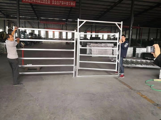 Welded Side Iron Hot Dip Galvanized Steel Farm Gate Easily Assembled