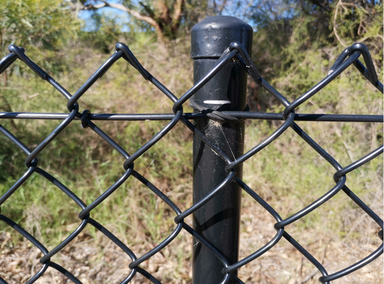 6ft 8ft 5x5 6x6 Galvanized PVC Coated Chain Link Fence For Agricultural Fence
