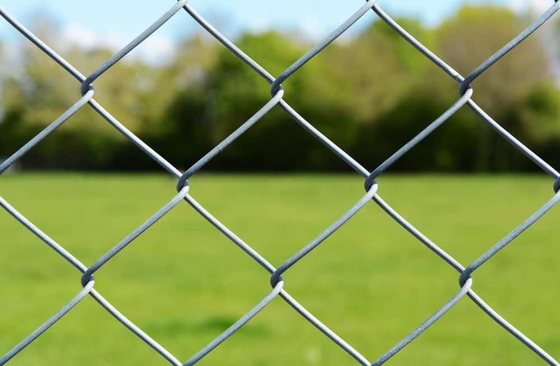 Square Post PVC Coated Security Chain Link Wire Mesh Fence Hot Dipped Galvanized