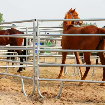 Hot Dipped Galvanized Sheep/cattle/goat/horse Yard Panel Livestock Panel Iron Farm Fence Heat Treated Pressure Treated W