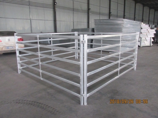 2023 Hot Selling USA 12 ft Heavy duty Livestock Cattle Corral Fence and Horse Round Pen Panels