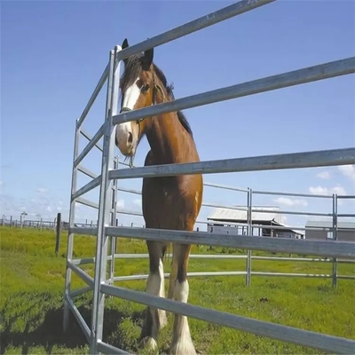 2023 Hot Selling USA 12 ft Heavy duty Livestock Cattle Corral Fence and Horse Round Pen Panels