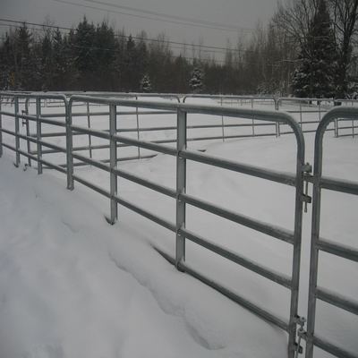 USA Hot Selling 12 ft Heavy duty Livestock panel Fence / Horse corral panels  12 ft Portable Heavy Duty Galvanized Metal