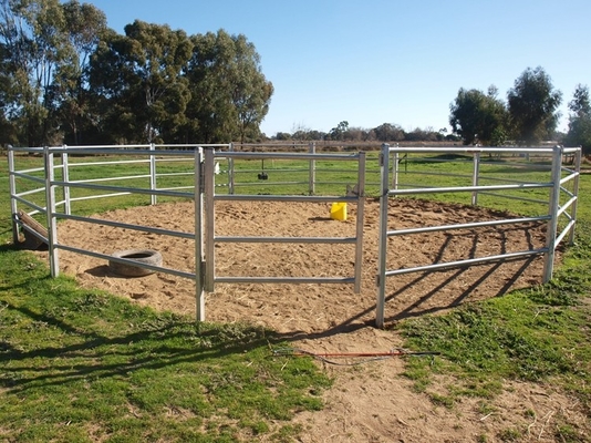 Zinc Coating Steel 1.6m Livestock Fence Panels Welded For Farm