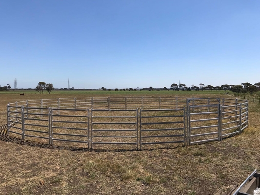 Pvc Coated Galvanized 12ft Metal Cattle Panels Heavy Duty Metal Round Pen Cattle Corral Livestock Farm Horse Yard Fence