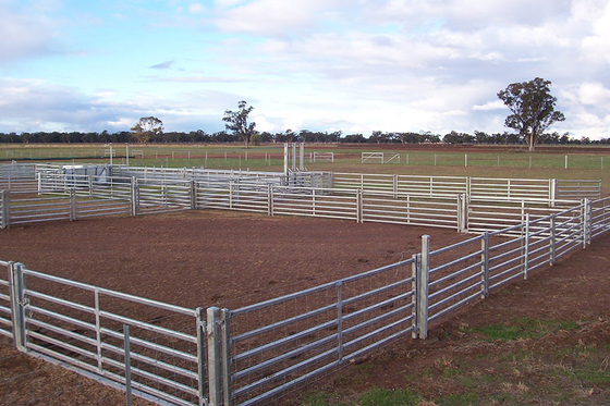 Bulk Carbon Steel 1.7m Galvanized Livestock Fence Panels , Portable Goat Panels