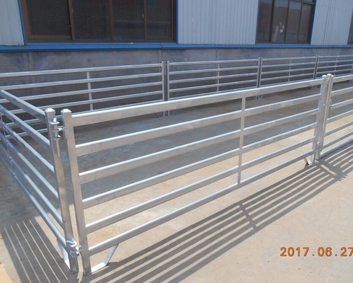 Bulk Carbon Steel 1.7m Galvanized Livestock Fence Panels , Portable Goat Panels