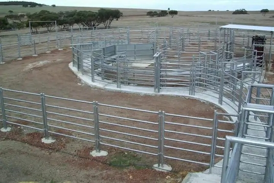 Round Tube 6ft Metal Livestock Fence Panels Heavy Duty Galvanized Corral