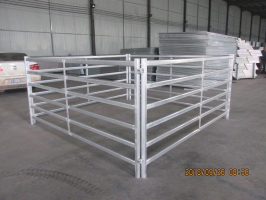 Horse 2.1m X 1.8m Livestock Fence Panels Hot Dip Galvanized Pipe