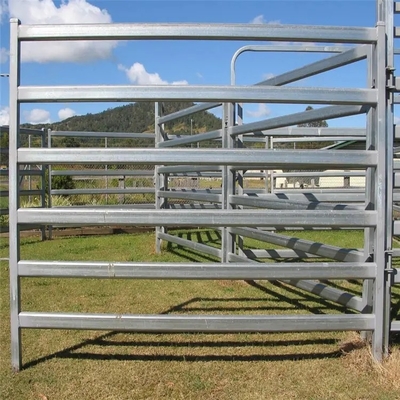 Horse 2.1m X 1.8m Livestock Fence Panels Hot Dip Galvanized Pipe