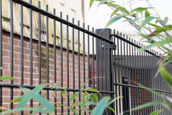 Galvanized Powder Coated Double Wire Fence 656 868 For School