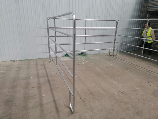 30x60mm Galvanized Cattle Fence Panels Heavy Duty / Horse Yard Panel