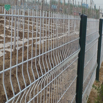 High Quality Powder Coated Garden Welded Wire Mesh 3D Mesh Fence Panel Cheap Price Sustainable