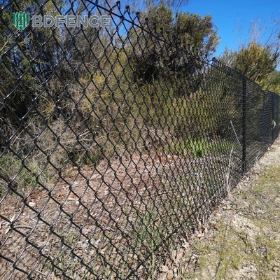 6ft Height Diamond Mesh Chain Link Fence Ideal For Green Garden Farm Square Post Type