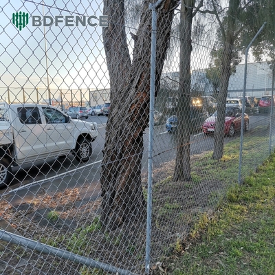 6ft Height Diamond Mesh Chain Link Fence Ideal For Green Garden Farm Square Post Type