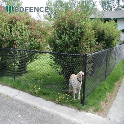 Tennis Court Galvanized Chainlink Fence Roll Cyclone Wire Diamond Mesh Black Pvc Coated 6ft 8ft Mesh Opening 50*50mm