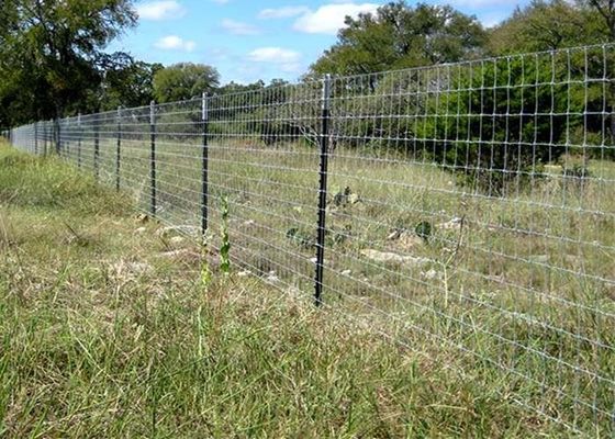 Heavy Duty 1.25 Ib/Ft Painted Steel Studded T Post