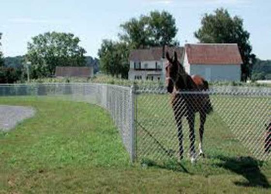 Hot Sale Sports Baseball Field Galvanized Diamond Chain Link Fence