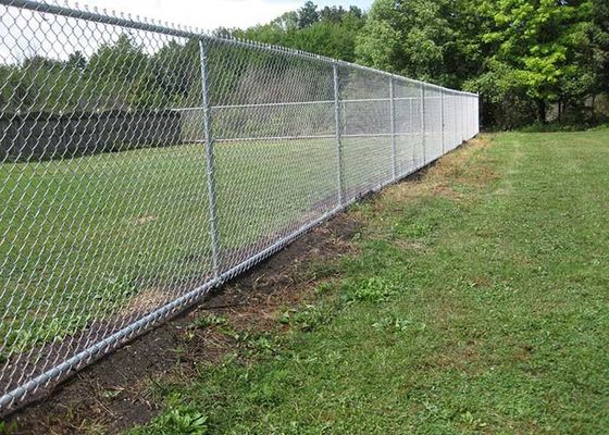 Zoo Protecting 5mm Wire Diamond Chain Link Fence