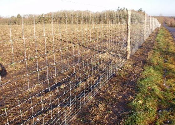 Hinge Joint Fence Field Fence Galvanized Farm Fence Livestock Fence Panels