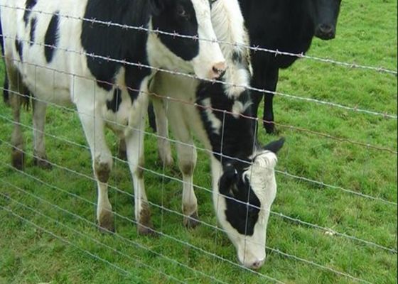 Galvanized Livestock Prevent Hinge Joint Page Wire Farm Field Fence
