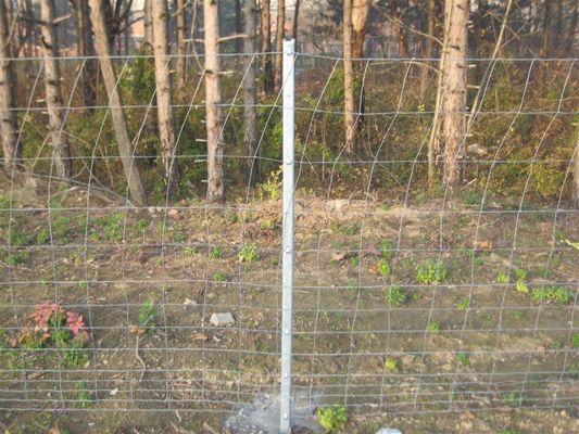 HGMT 1.8m Field Livestock Fence Panels For Deer