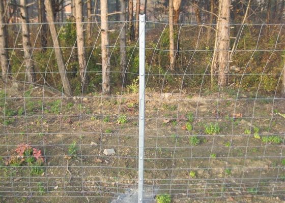 Hot Dipped Galvanized 1.8m Livestock Fence Panels