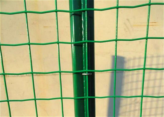 50*50mm Dutch Mesh Welded Wire Fence Panels
