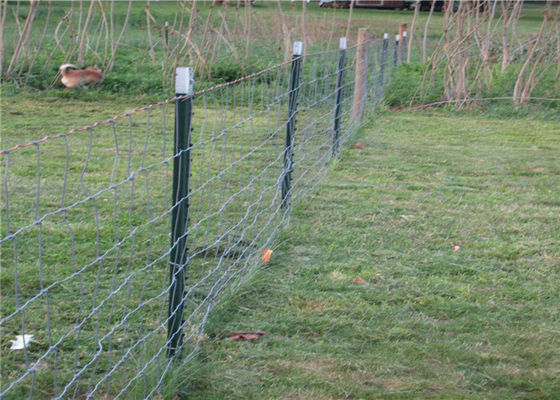 Theftproof 6ft Q235 Steel Studded T Post For Fencing
