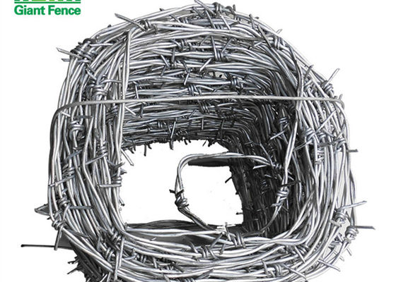 2 strands L3cm Barbed Wire Razor Wire for prisons