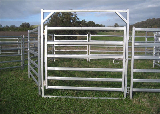 Square Tube H1800mm Welded Cattle Gate Fence