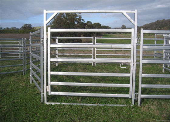 Square Tube H1800mm Welded Cattle Gate Fence
