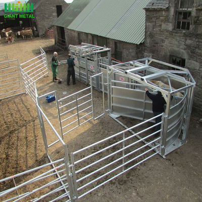 Hot Dip Galvanized 1.6m Livestock Fence Panels With Accessory Pins / Lugs