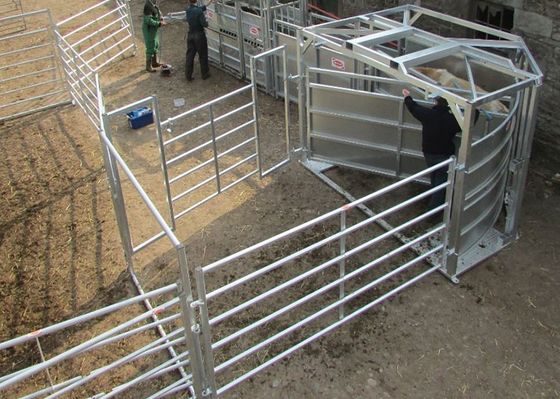 Square Tube Welded Livestock Fence Panels For Cattle