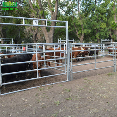 Galvanized Oval Tube Animal Fencing Panels For Cattles