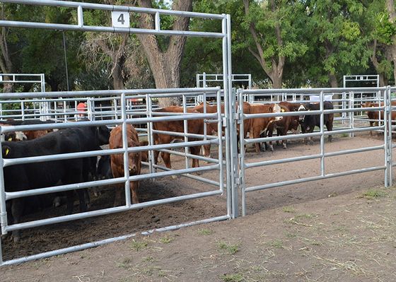 Farm Interlocking L4m Livestock Fence Panels