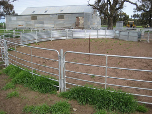 Hot Dip Galvanized 1.6m Livestock Fence Panels With Accessory Pins / Lugs