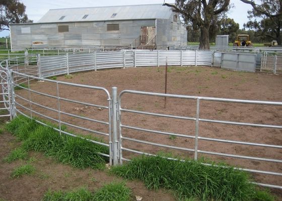 3 rails Galvanized Metal Livestock Fence Panels