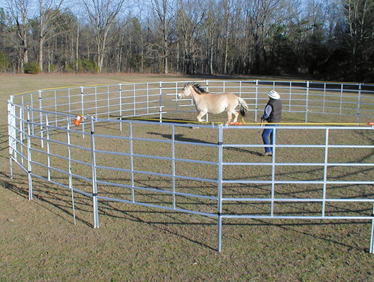 Hot Dip Galvanized 1.6m Livestock Fence Panels With Accessory Pins / Lugs