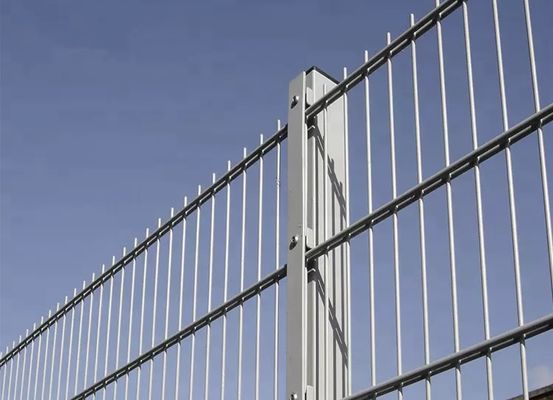 Pvc Coated H2500mm 2d Double Wire Mesh Fencing