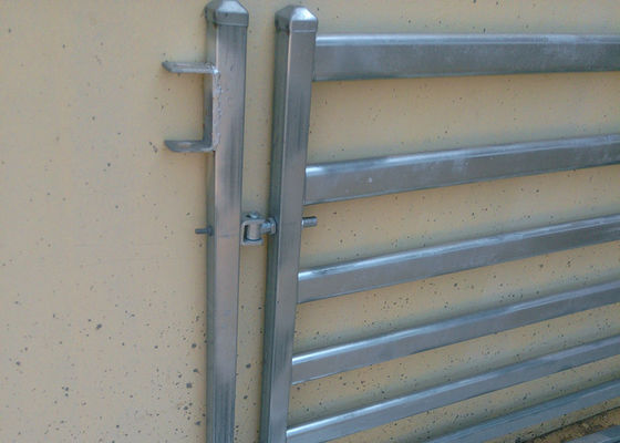 Hot Dip Galvanized 1.6m Livestock Fence Panels With Accessory Pins / Lugs
