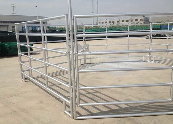 Pre Galvanized Tube Welded 1.8m Height Cattel Panel With 50x50mm Square Pipe